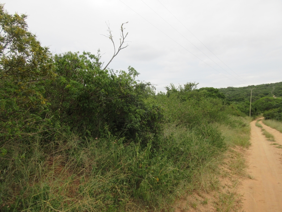0 Bedroom Property for Sale in Bathurst Eastern Cape